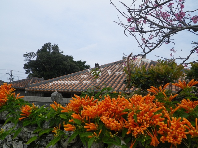 e0127602_17244429.jpg
