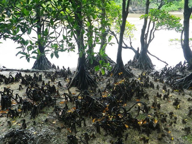 e0127602_17364577.jpg