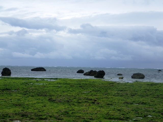 e0127602_17381510.jpg