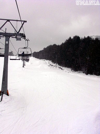 b0061004_4483415.jpg