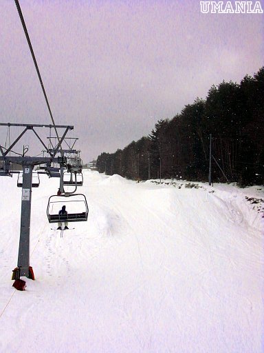 b0061004_4484752.jpg
