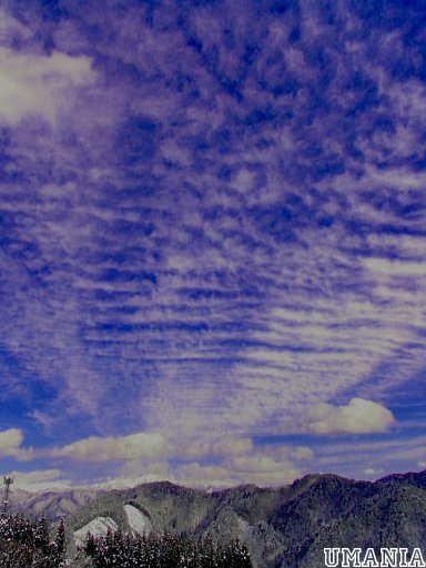 b0061004_553726.jpg