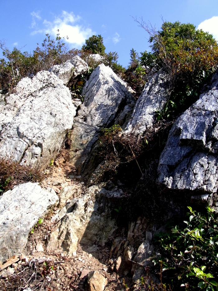 c0197004_17104261.jpg