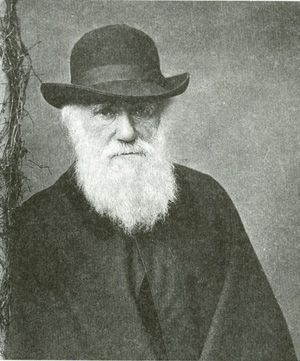 c0239323_050095.jpg