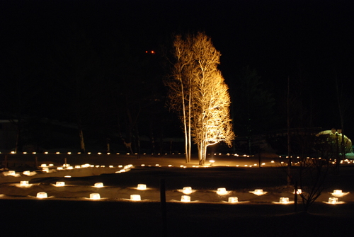 e0242223_1541173.jpg