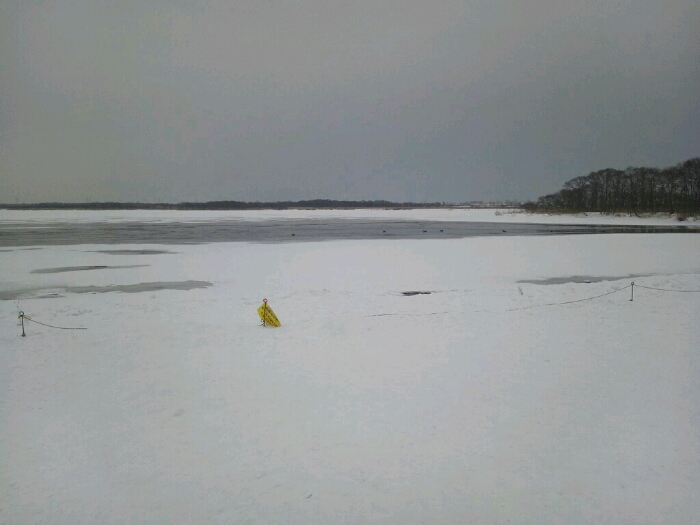 c0235633_1144135.jpg
