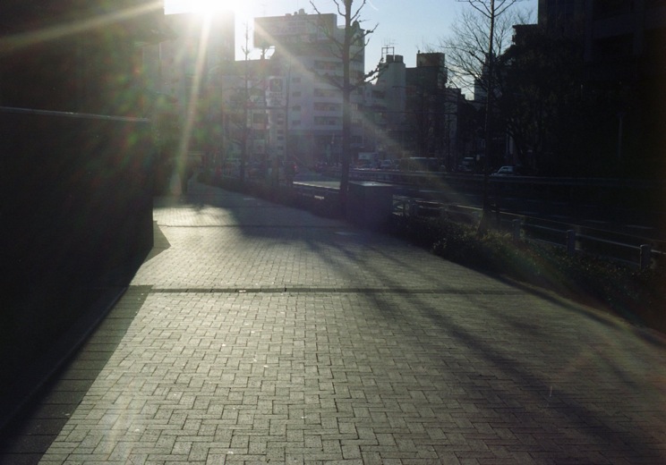 d0089742_03786.jpg
