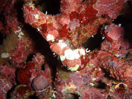f0014842_17591638.jpg