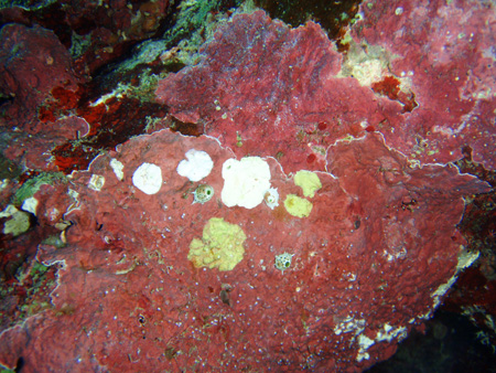 f0014842_17592479.jpg
