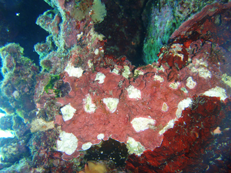 f0014842_17593310.jpg