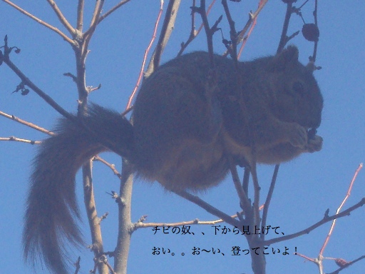 a0204348_8374690.jpg