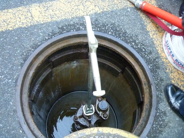 e0121548_10384983.jpg