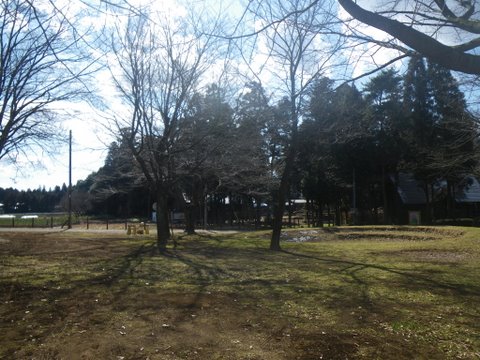 f0046250_1403715.jpg