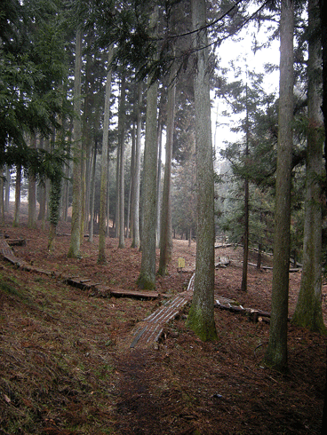 a0001354_2123685.gif