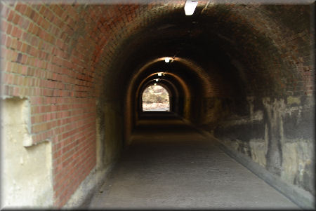 e0099375_194440.jpg