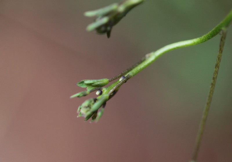 f0165677_20455923.jpg