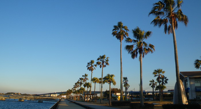 c0197578_031525.jpg