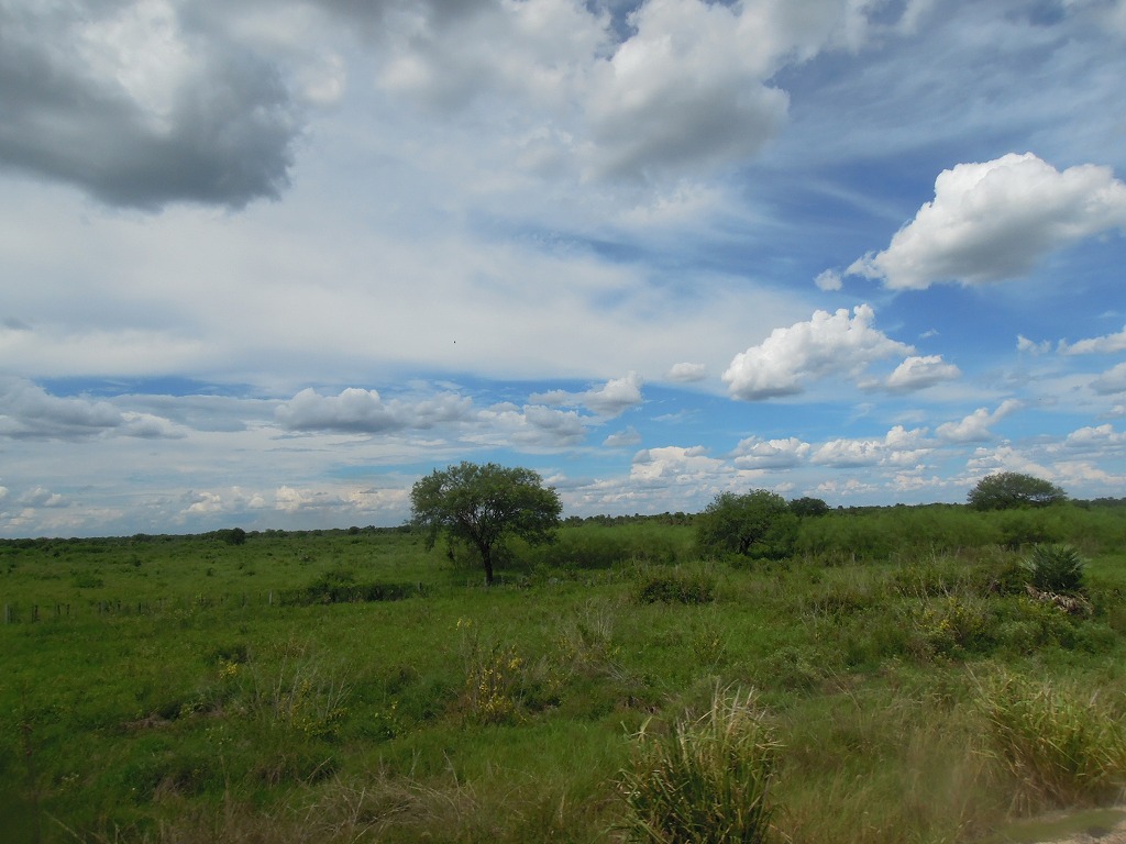 e0242479_21241685.jpg