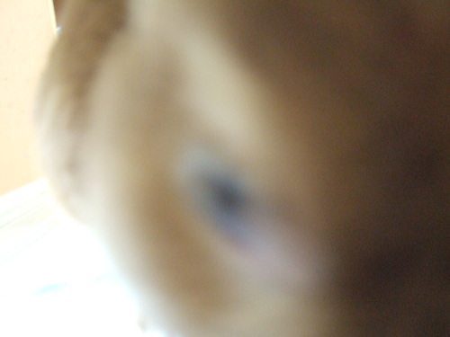 e0174980_0464961.jpg