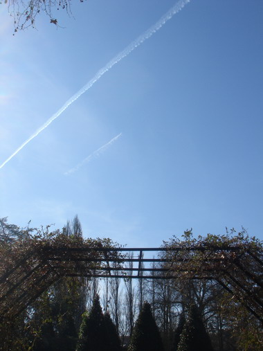 a0247585_724115.jpg