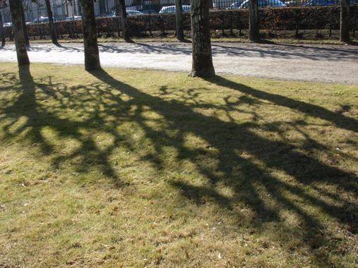a0247585_7273585.jpg