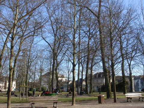 a0247585_7331924.jpg