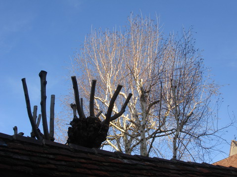 a0247585_7564911.jpg