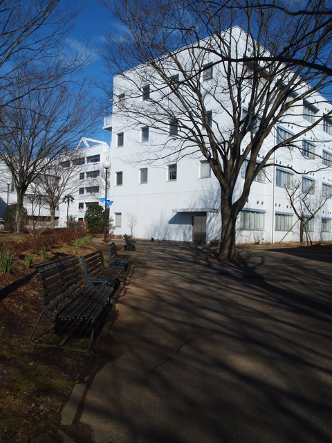 f0167007_22191526.jpg