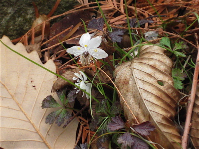 a0164011_21255649.jpg