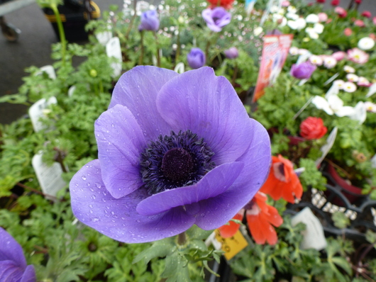 a0228333_051391.jpg