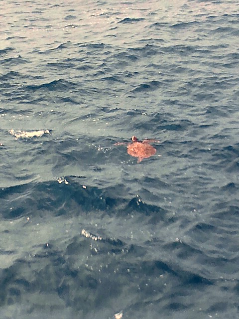f0009238_10414186.jpg