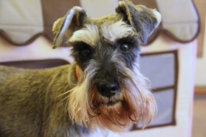 c0153740_1404114.jpg