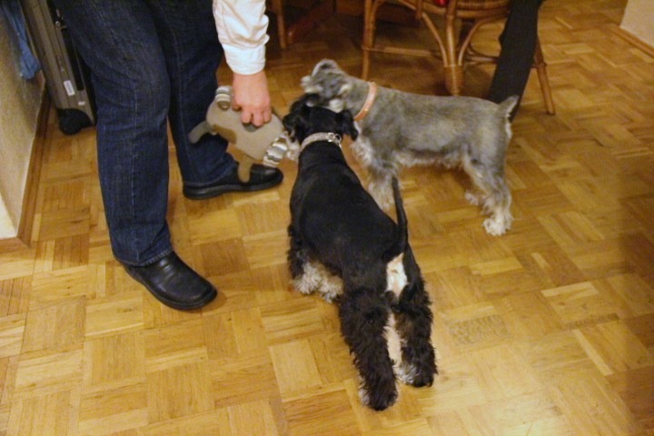 c0153740_223371.jpg