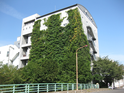 f0141840_314324.jpg
