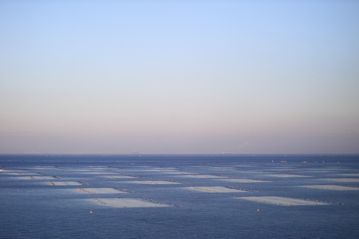 b0168041_19392947.jpg