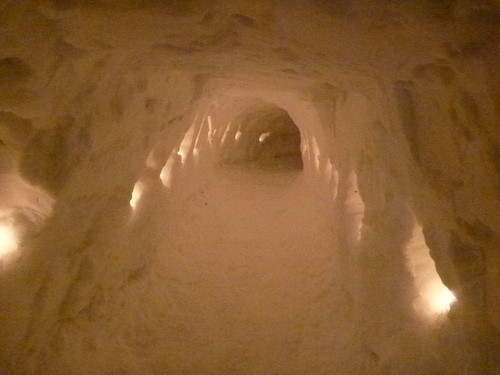 f0039446_20222221.jpg