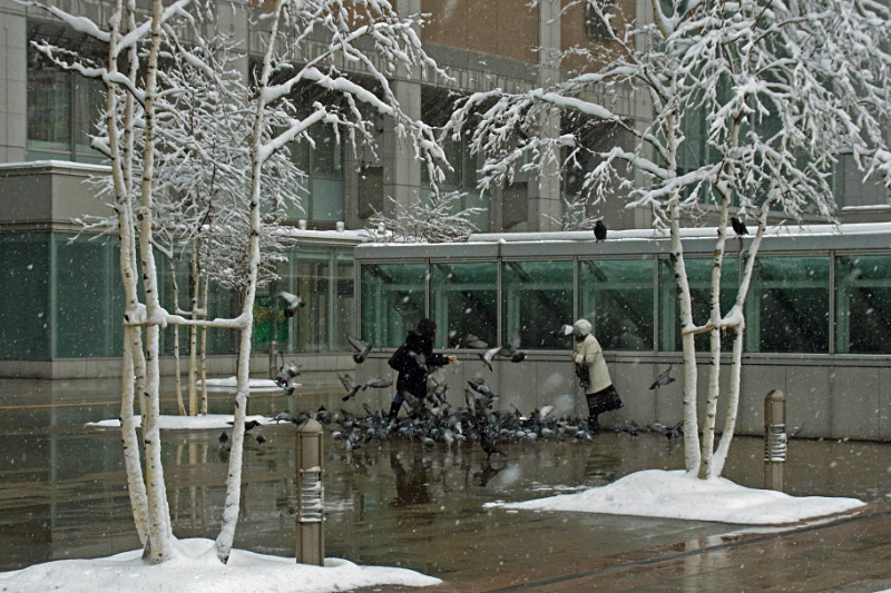e0100772_2252939.jpg
