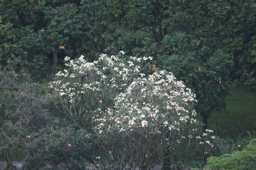 a0002177_21101239.jpg