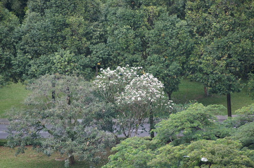 a0002177_2110246.jpg