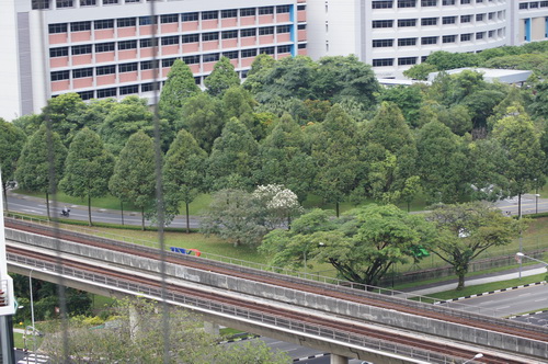 a0002177_21103015.jpg