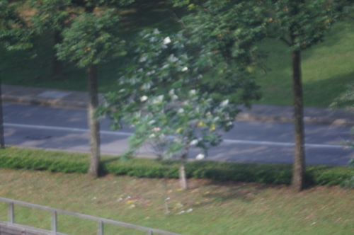 a0002177_21104366.jpg