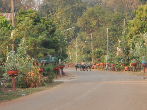 a0002177_22502924.jpg