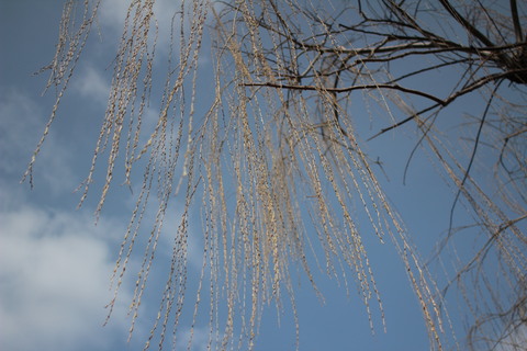 e0024081_2352187.jpg
