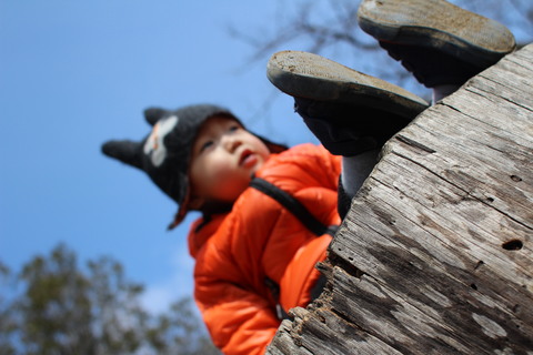 e0024081_236484.jpg