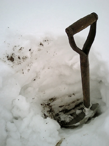 c0145183_13274459.jpg