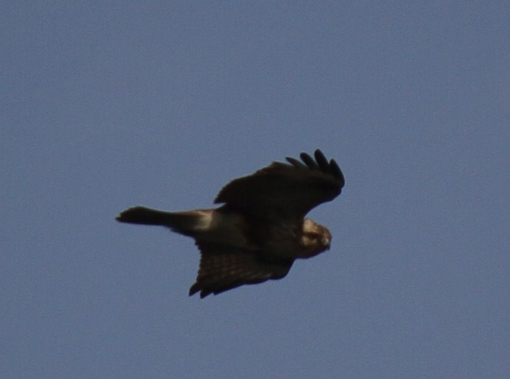 e0197884_14394697.jpg