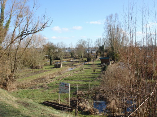 a0247585_2342614.jpg
