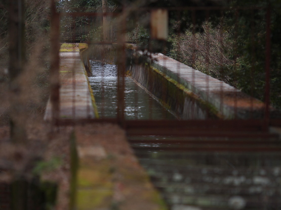 f0103688_8501720.jpg