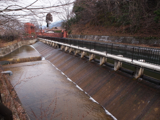 f0103688_855914.jpg