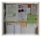 b0232891_226152.png